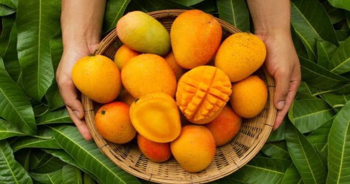 Mankurad mangoes