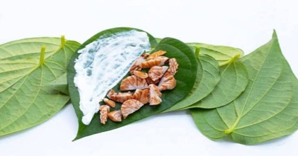 Betel leaf