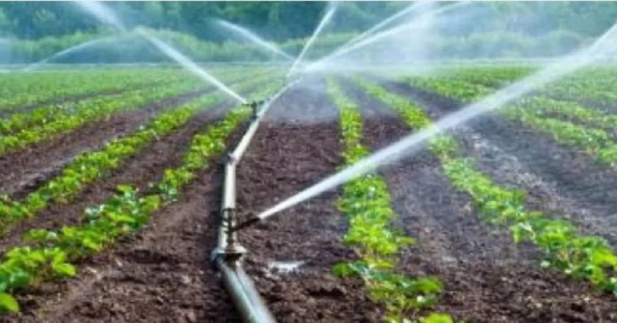 Subsidy for drip irrigation