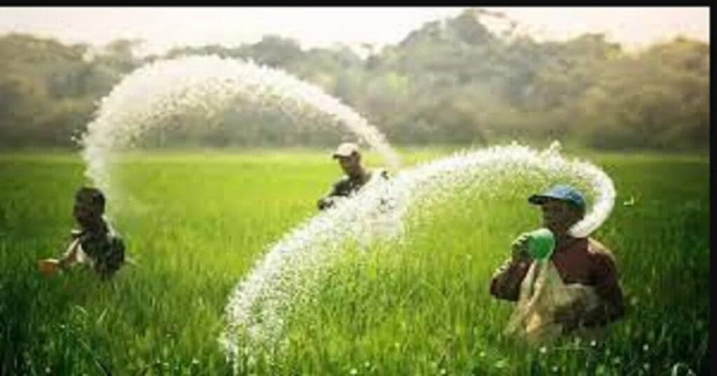 Fertiliser subsidy