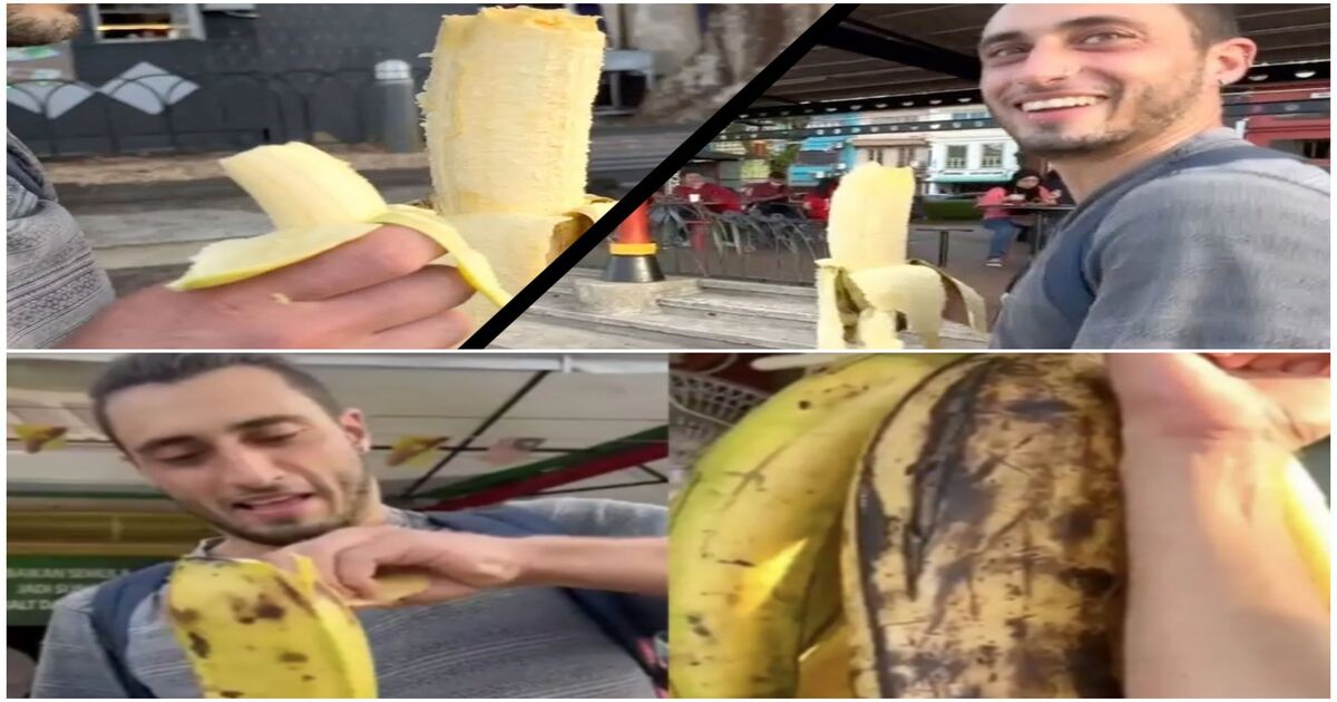 Biggest Banana