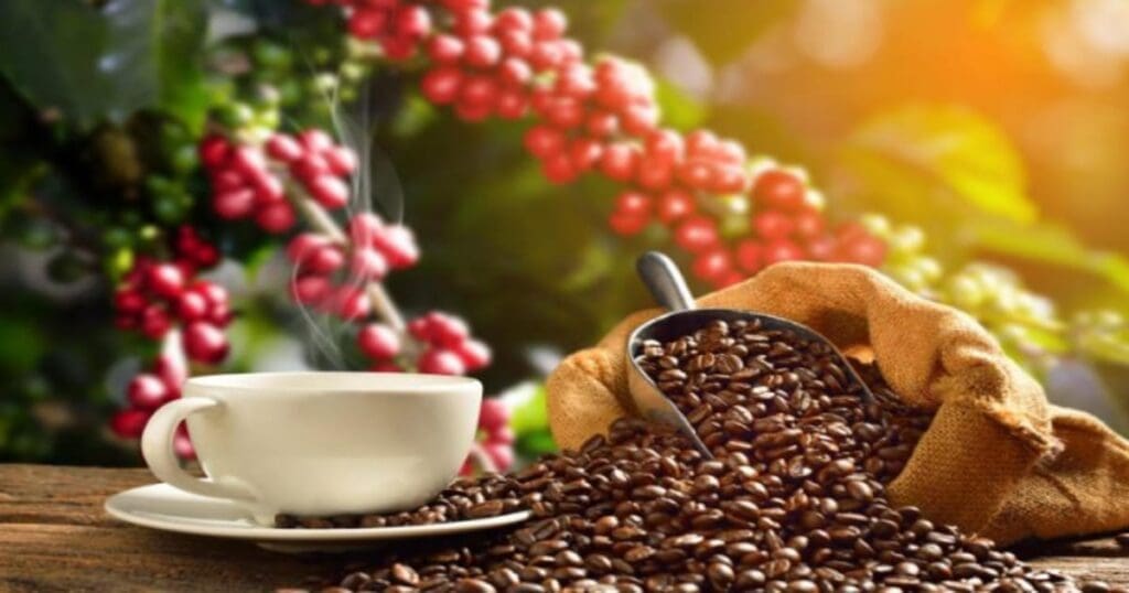 Arecanut Coffee Rate 25/03/2023
