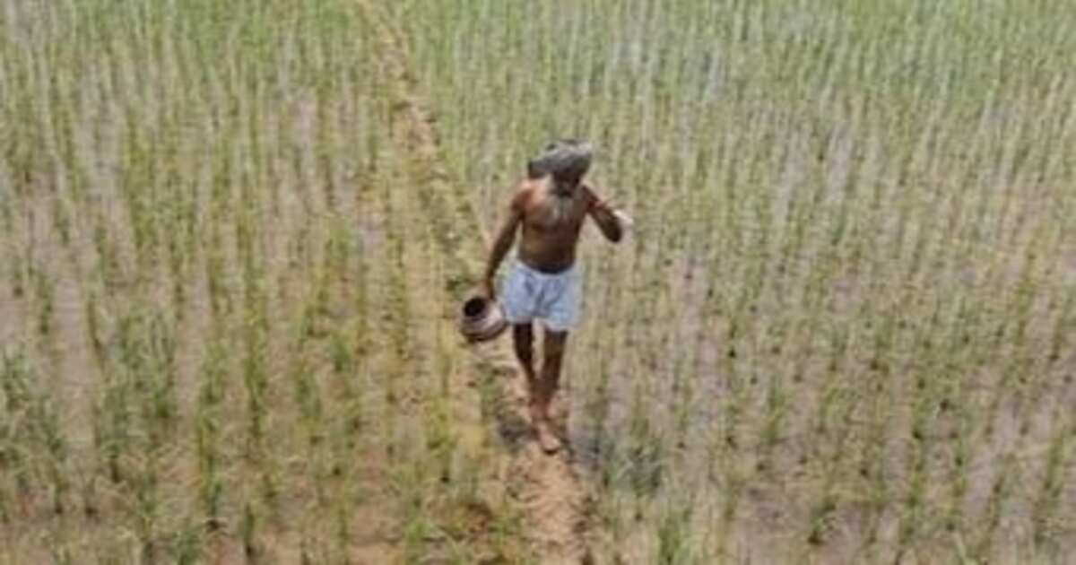 PM Kisan