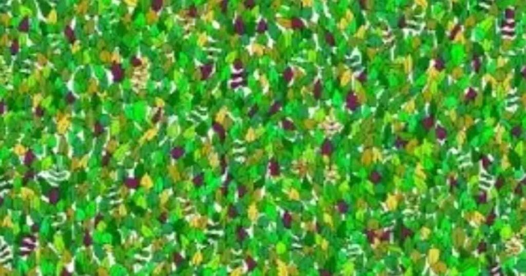 Optical illusion