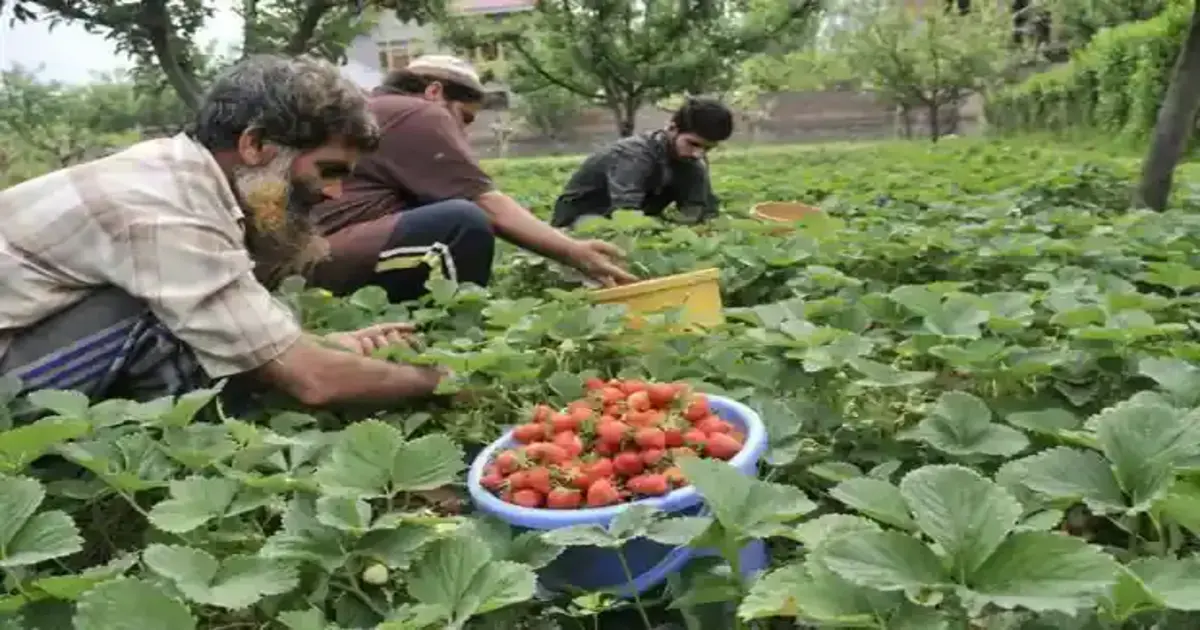 Horticulture Training