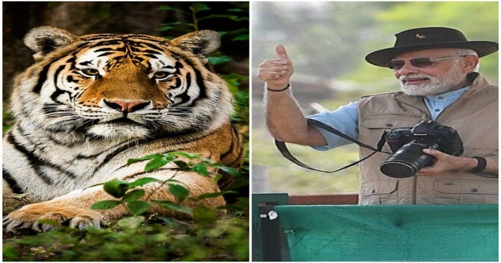 Bandipur Tiger Reserve