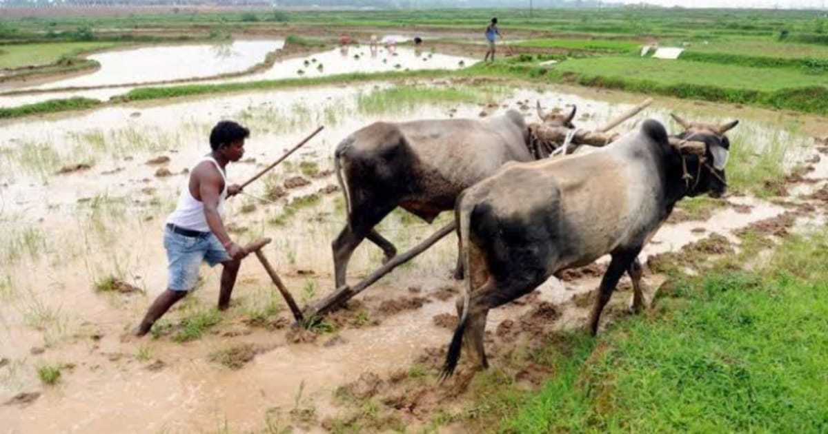 PM Kissan Samman Nidhi