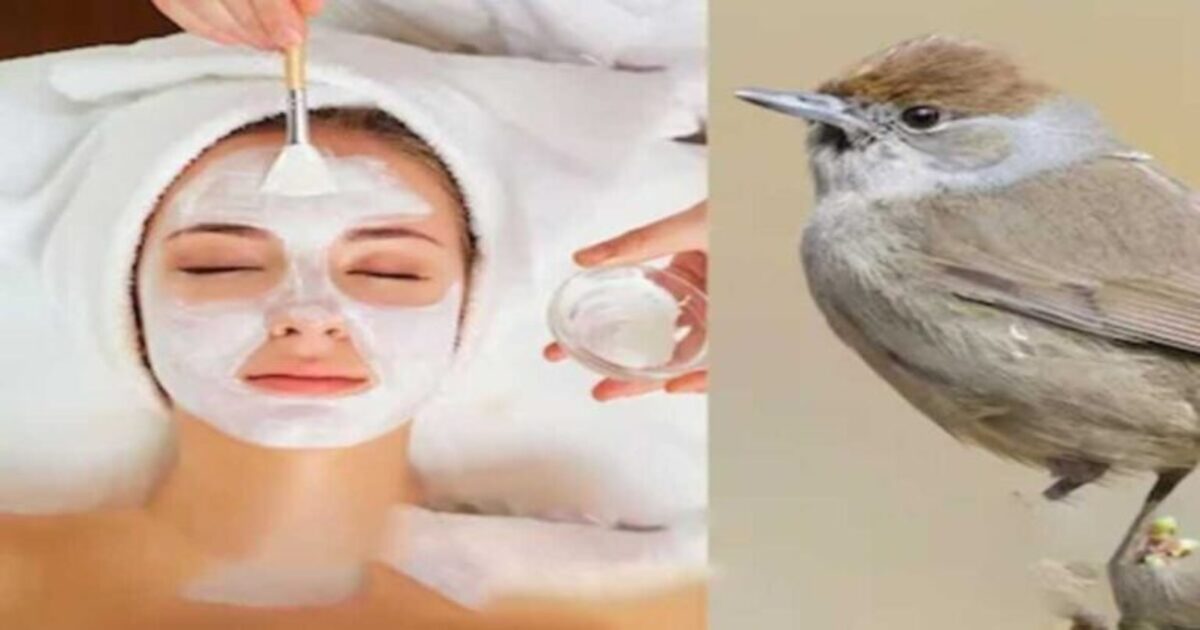 Nightingale Poop Facial