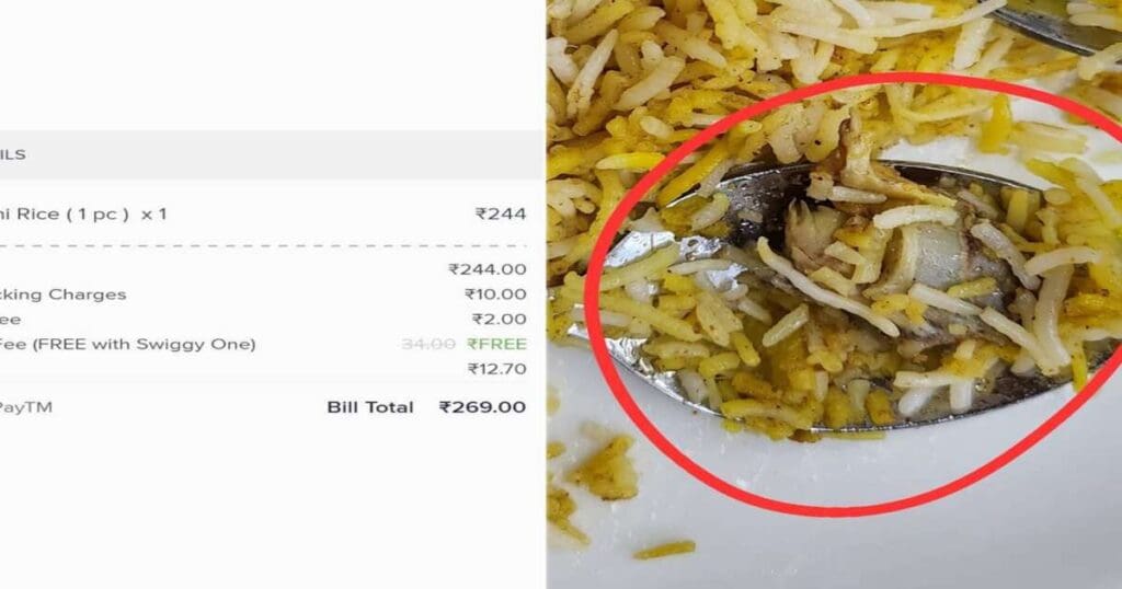 Meatloaf in Veg Biryani