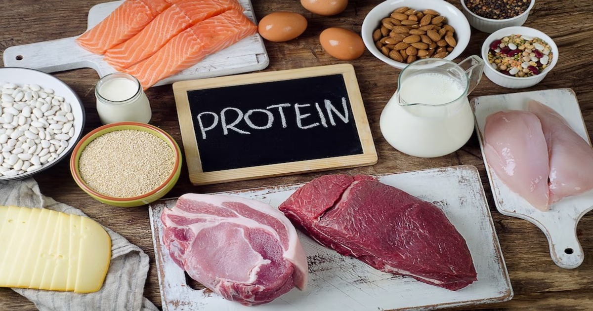 High-protein Foods