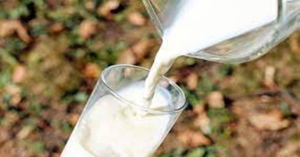 Recycle spoiled milk