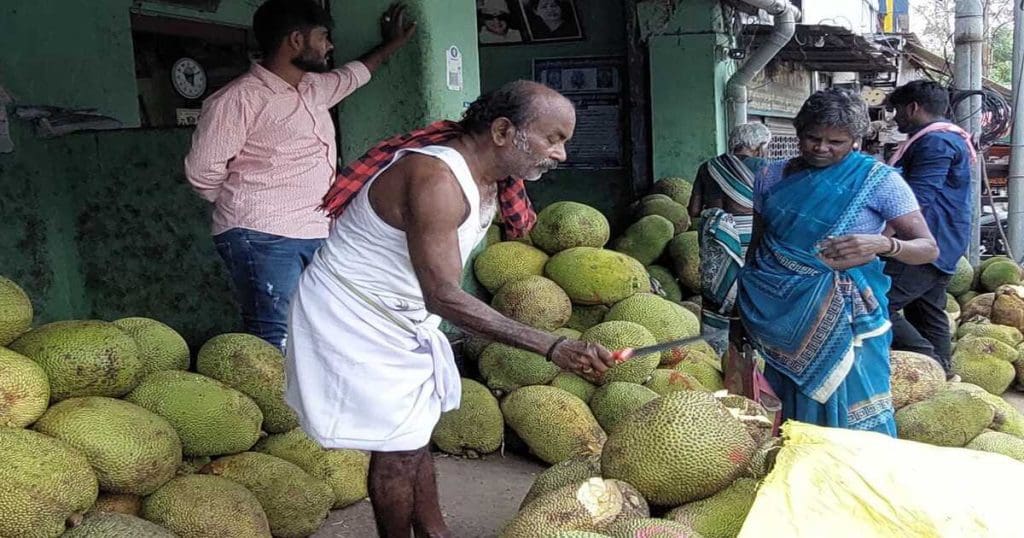 Jackfruit