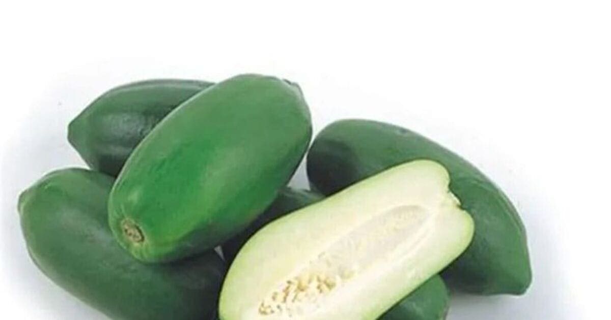 WhatsApp Image 2023-04-04 at 4.43.25 PM (1) Raw Papaya benefits