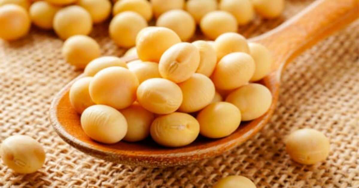 WhatsApp Image 2023-04-04 at 9.0 Soybean dish