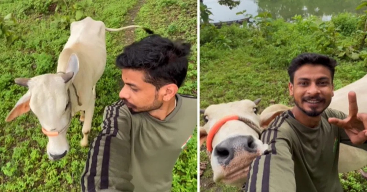 Young-man Selfie with Cow