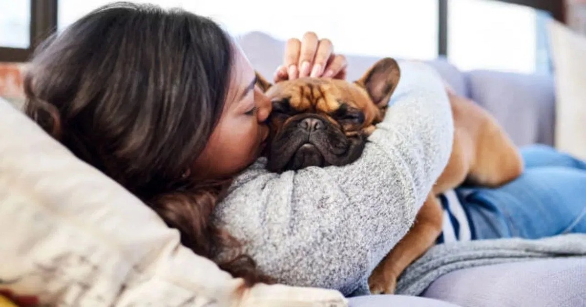 Sleeping with Domestic animal