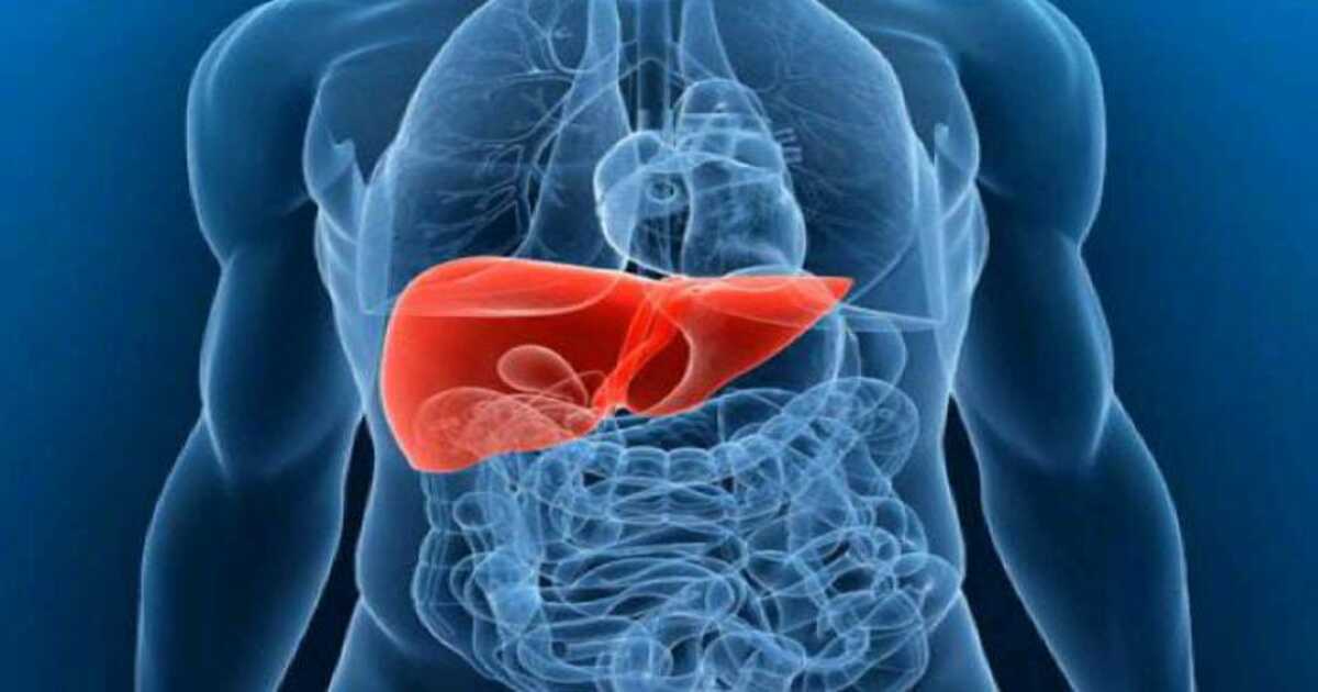 Healthy Liver