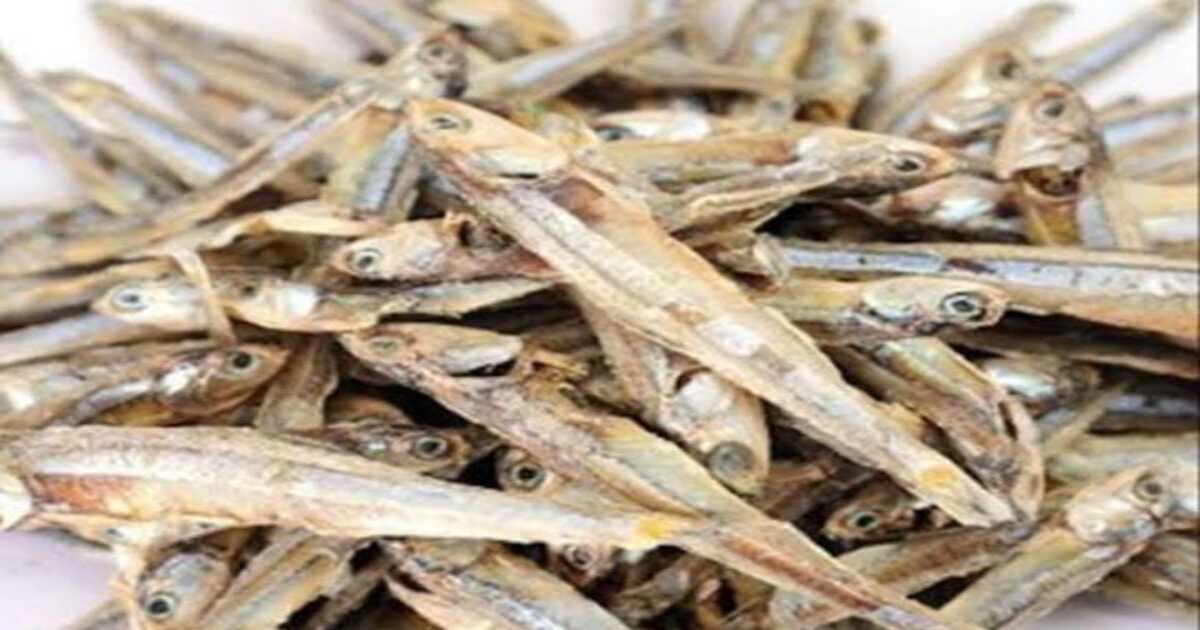 Dry Fish Benefits