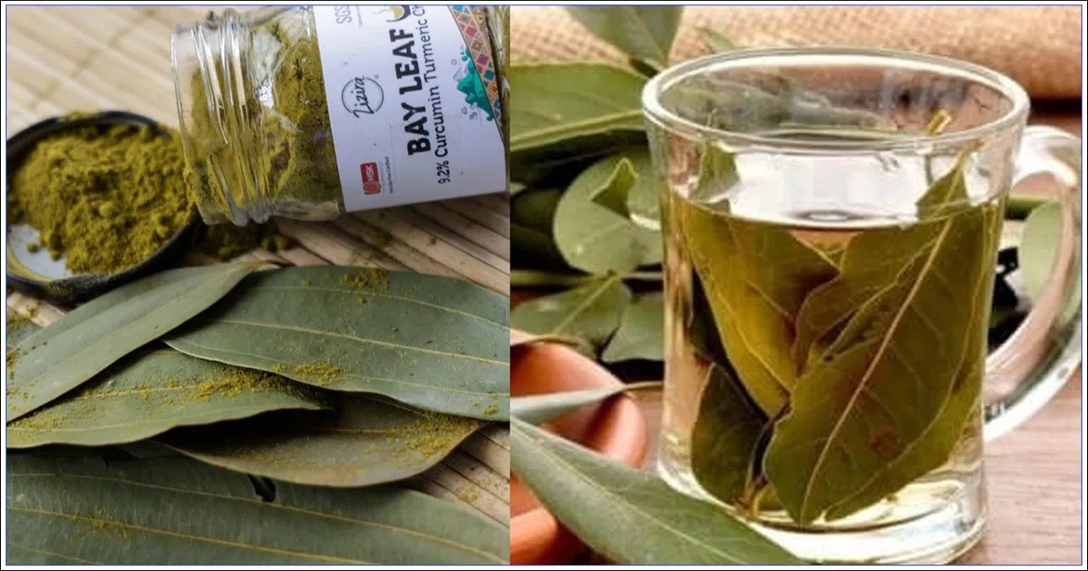 Bay leaf benefits