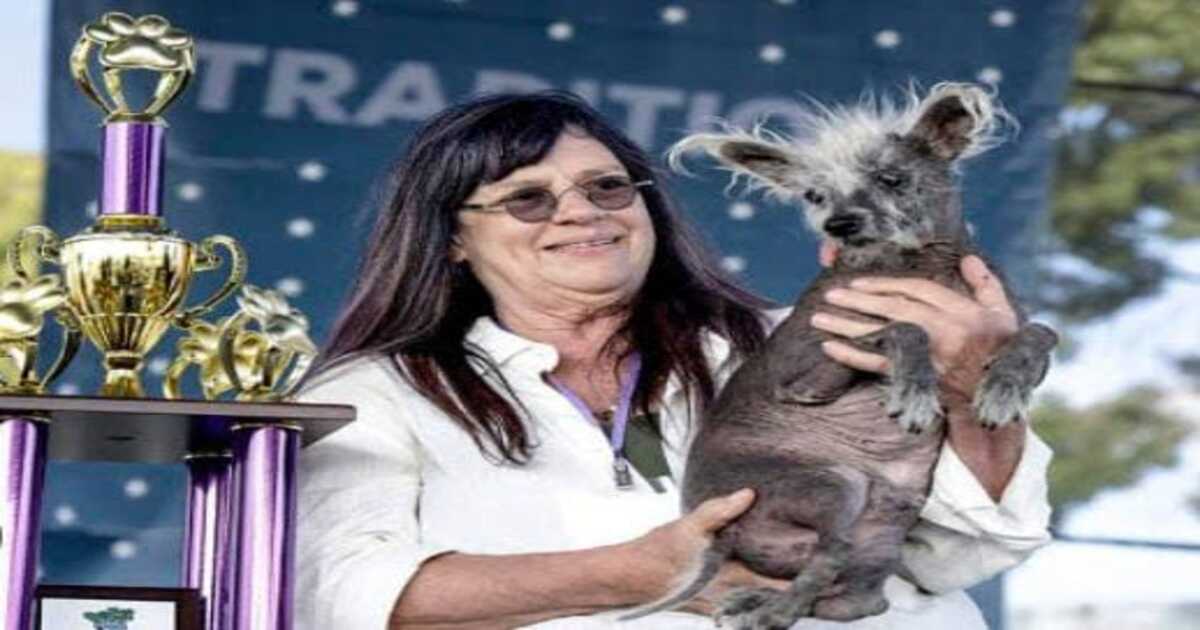 Ugliest Dog contest