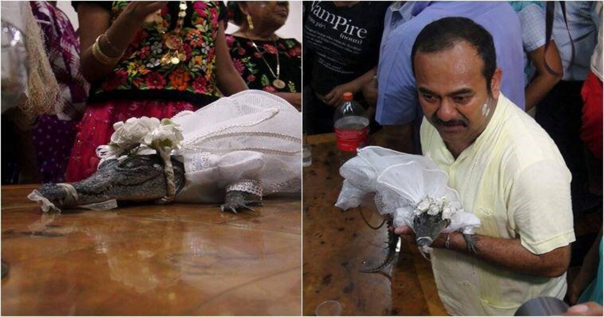 Mexican mayor married crocodile