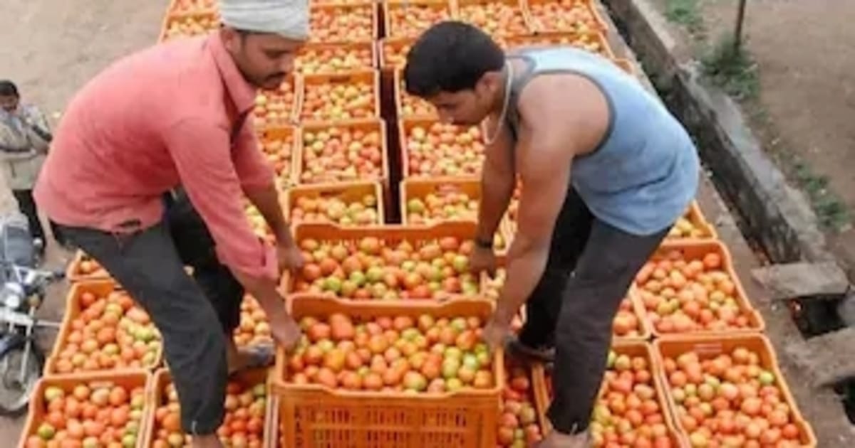 Tomato Vehicle Hijack