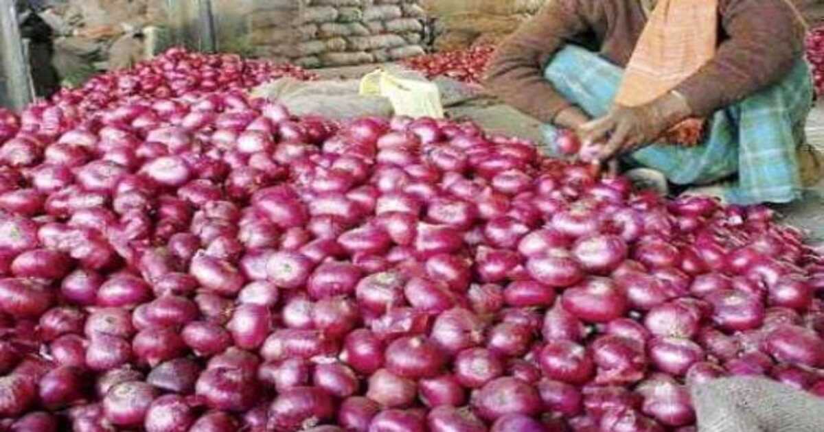 Onion Storage