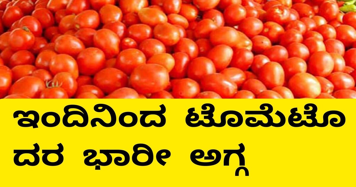 Tomato Price