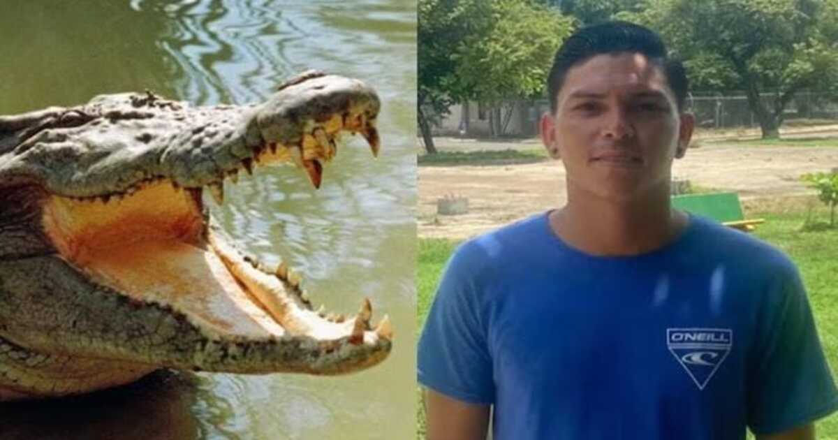 Crocodile Attack