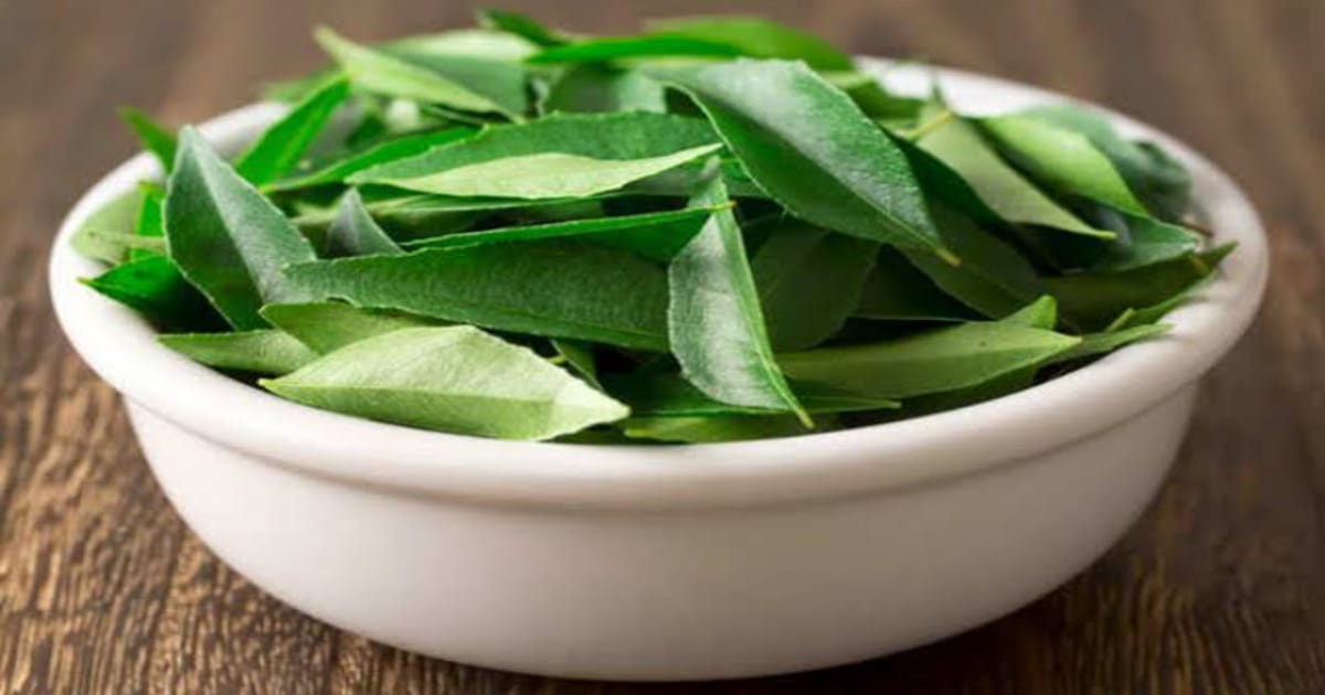 Curry Leaves Preservation