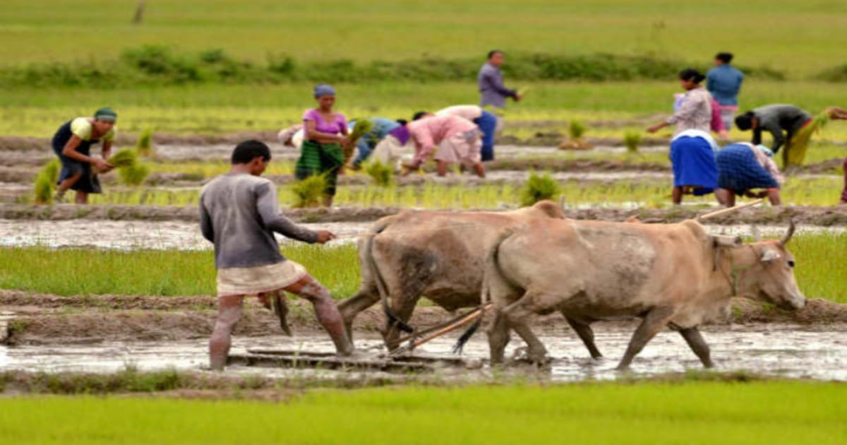 Agriculture