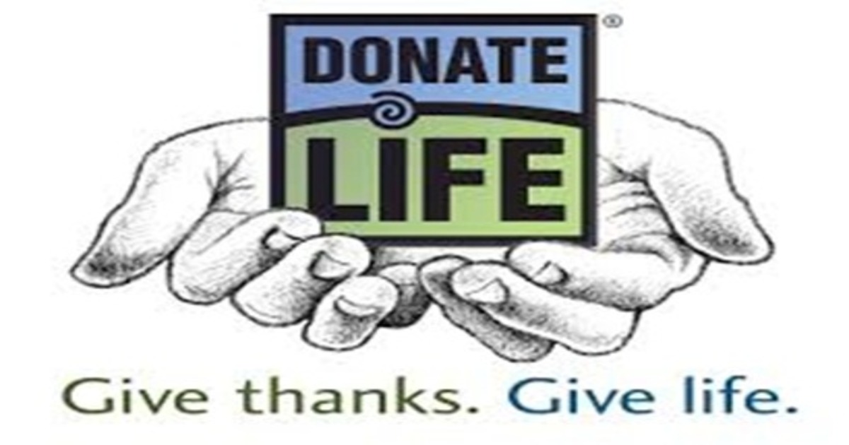 World organ donation day