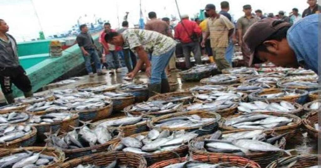 Department of fisheries