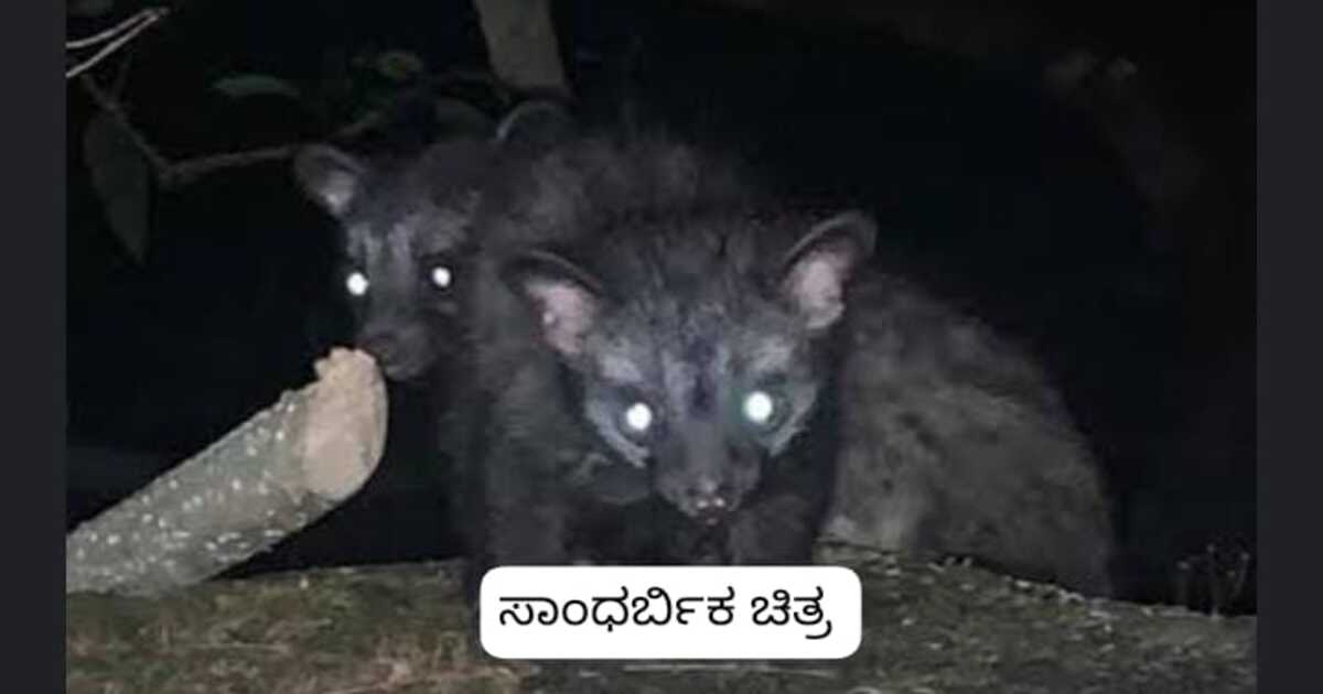 Dakshina Kannada