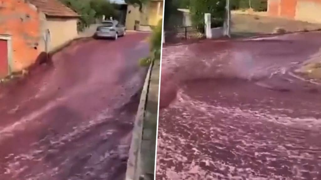 Red wine viral video