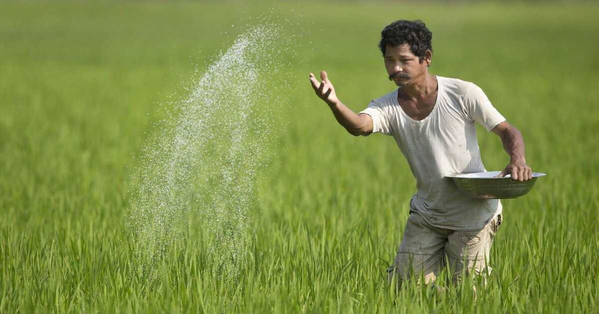 Fertiliser price hike