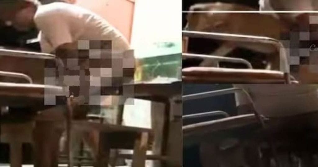Raped Stray Dog