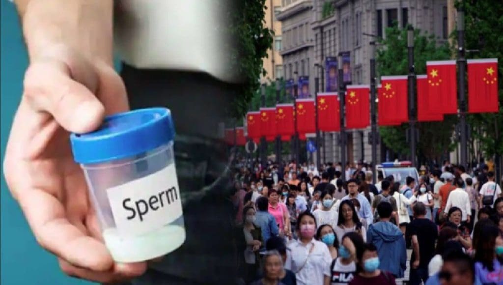 Sperm Contest