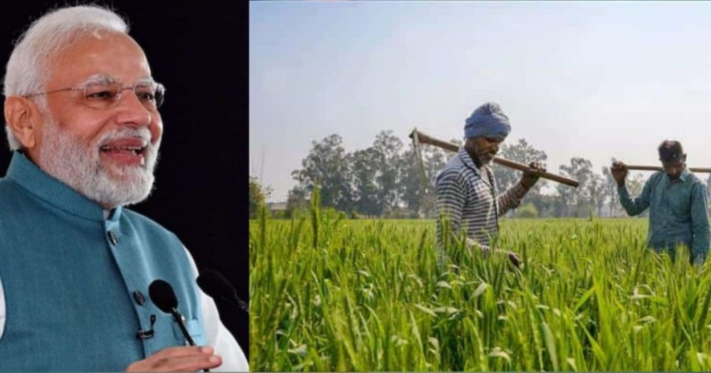 Rabi Crops MSP