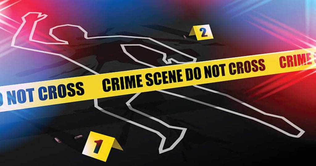 Live in Partner Murder