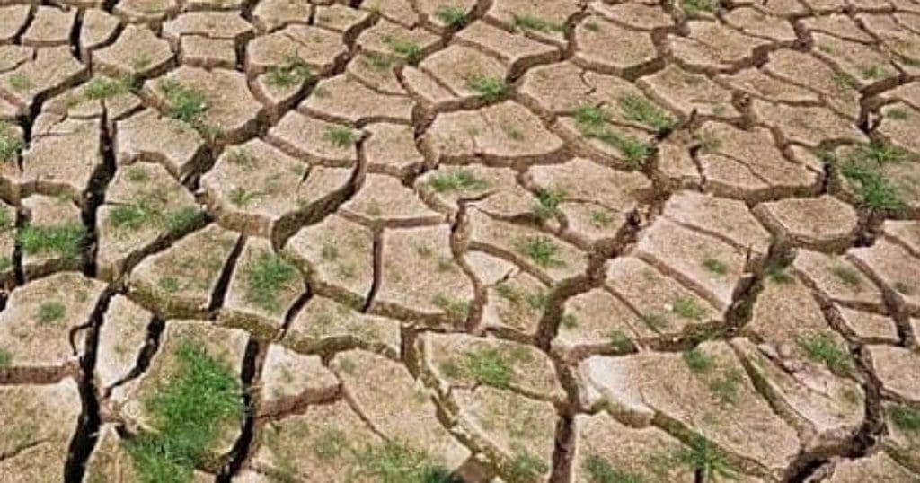 Drought Relief