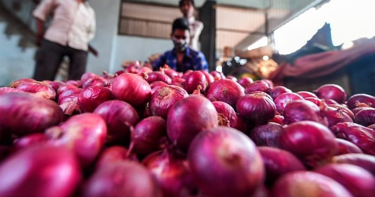 Onion Price Hike