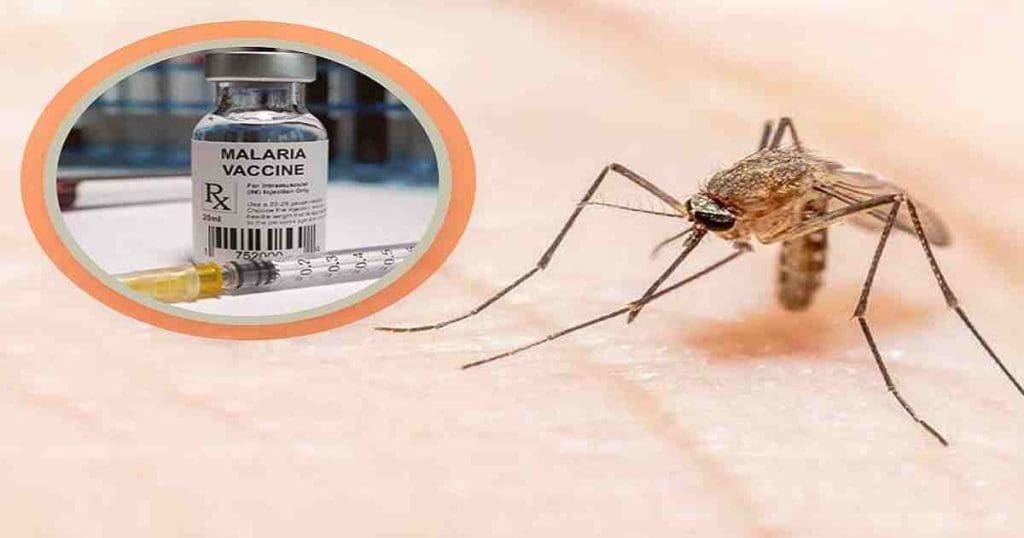 Malaria