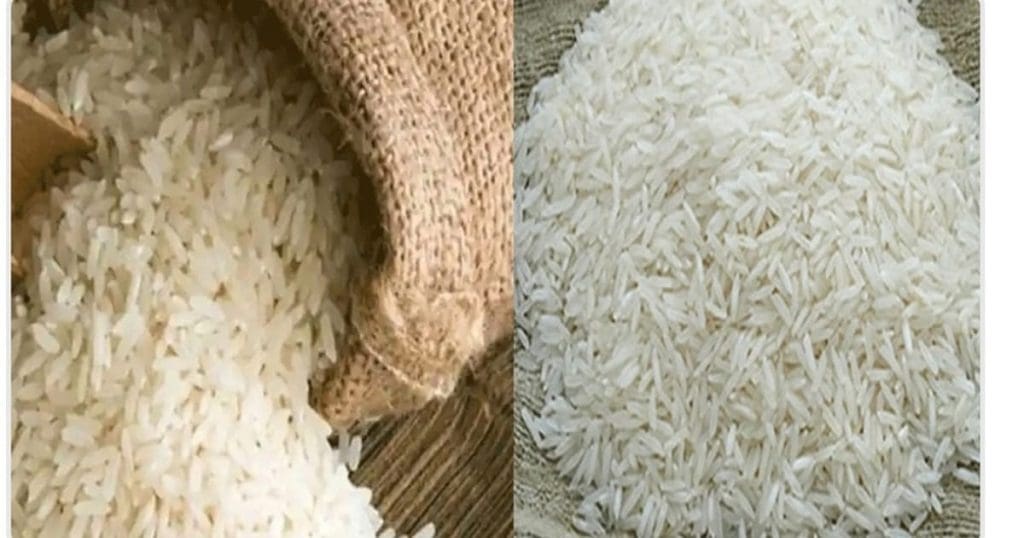 Rice