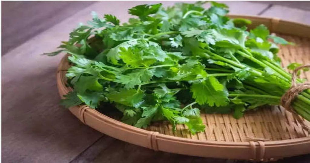 Coriander Effect