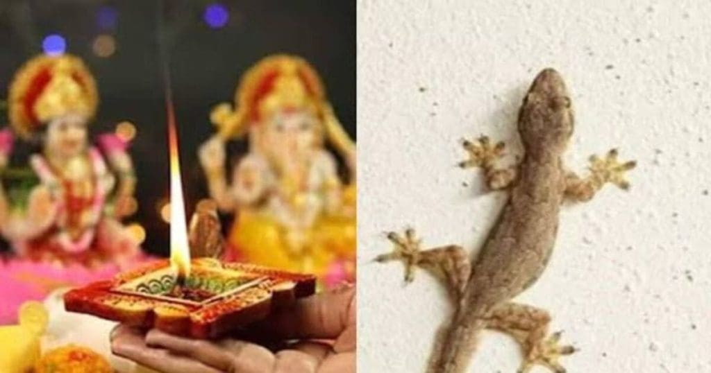 Lizard Luck