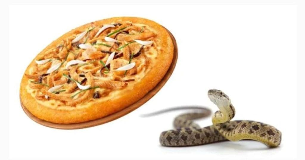 Snake pizza