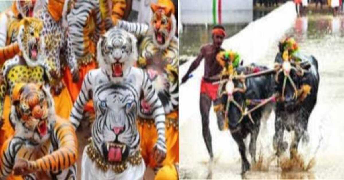 Tiger Dance In Bangaluru