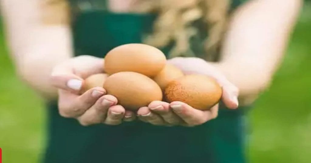 Boiled Eggs
