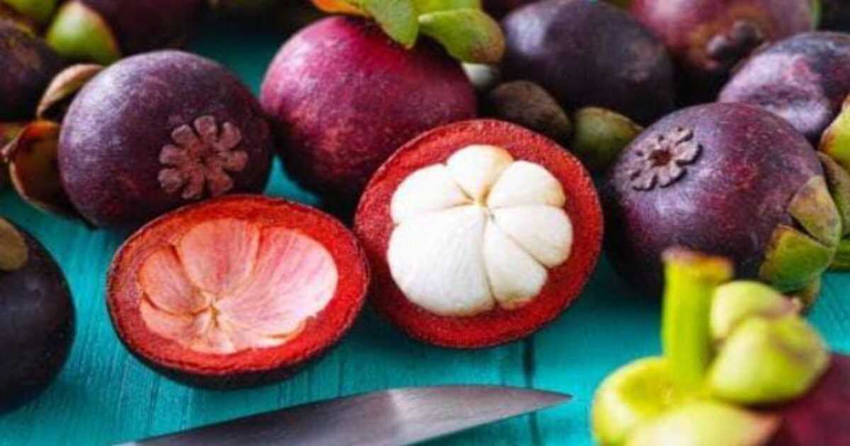 Mangosteen Fruit Benefits